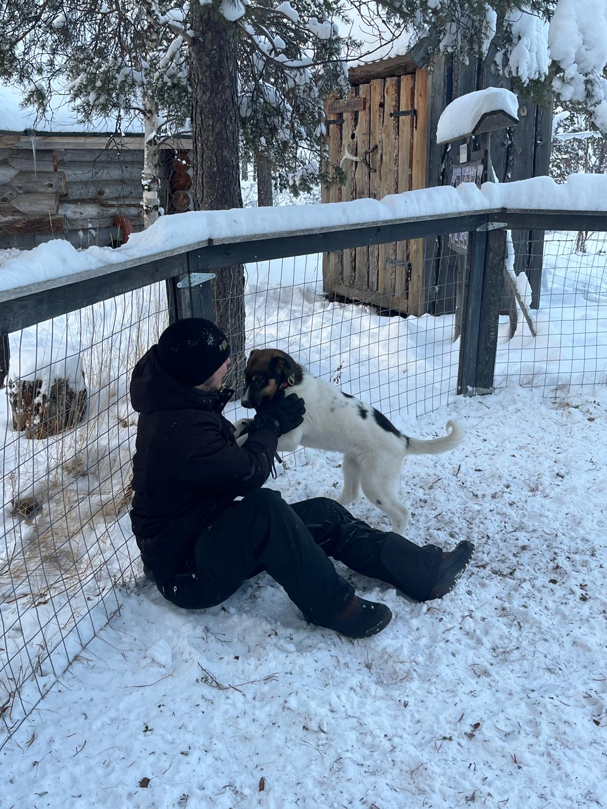 Foto Mark in Lapland